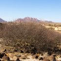 NAM ERO D3716 2016NOV24 008 : 2016, 2016 - African Adventures, Africa, D3716, Date, Erongo, Month, Namibia, November, Places, Southern, Trips, Year